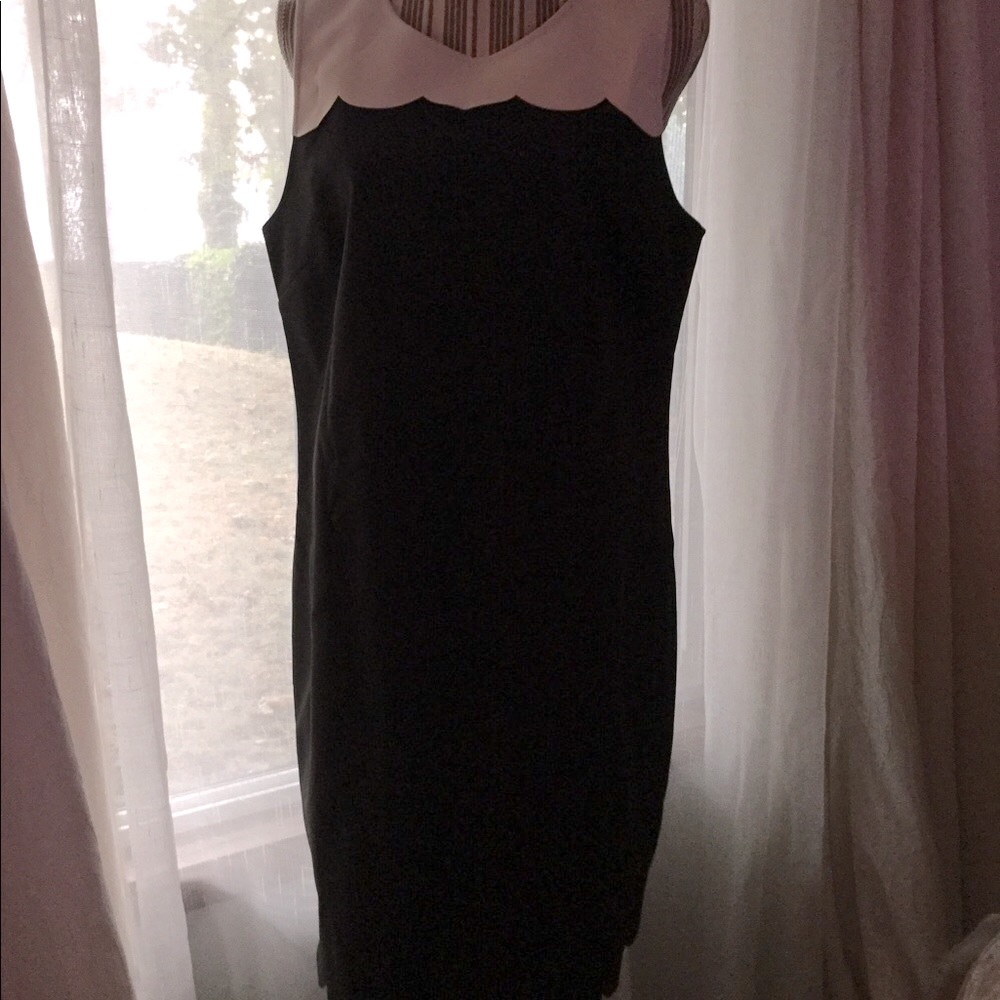 NWT J.CREW Scalloped Shift Dress
